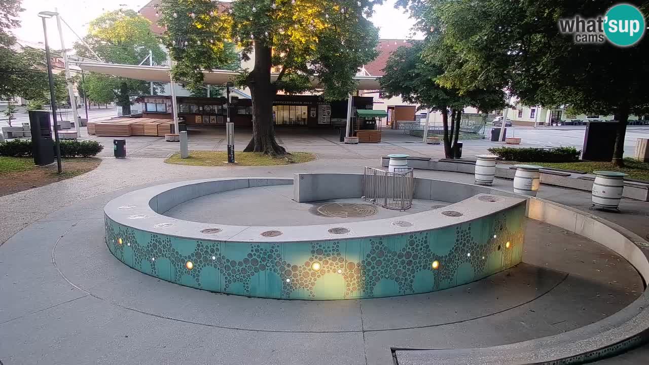 Spletna kamera Fontana Piv – Zeleno zlato Žalec
