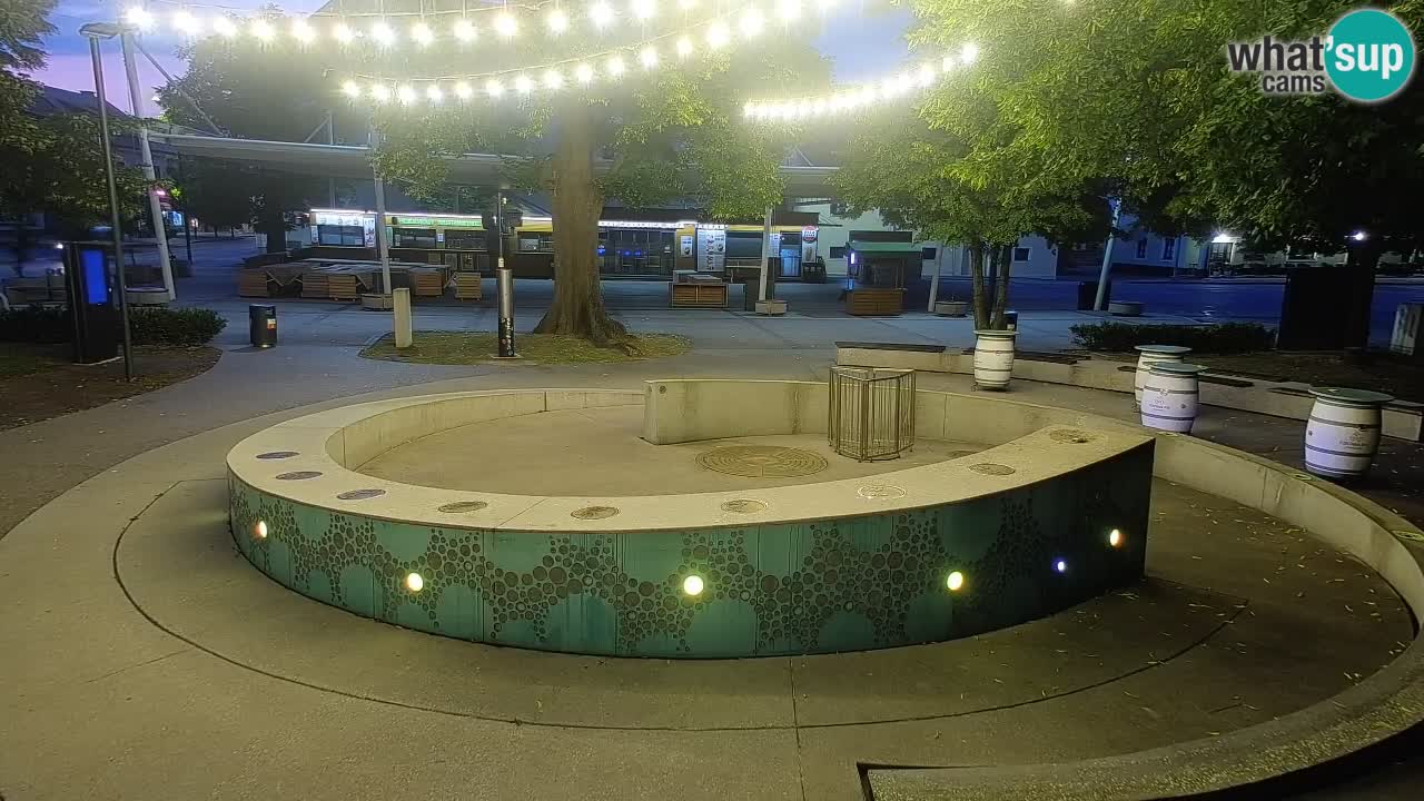 Camera en vivo Fuente de cerveza – Oro verde – Žalec