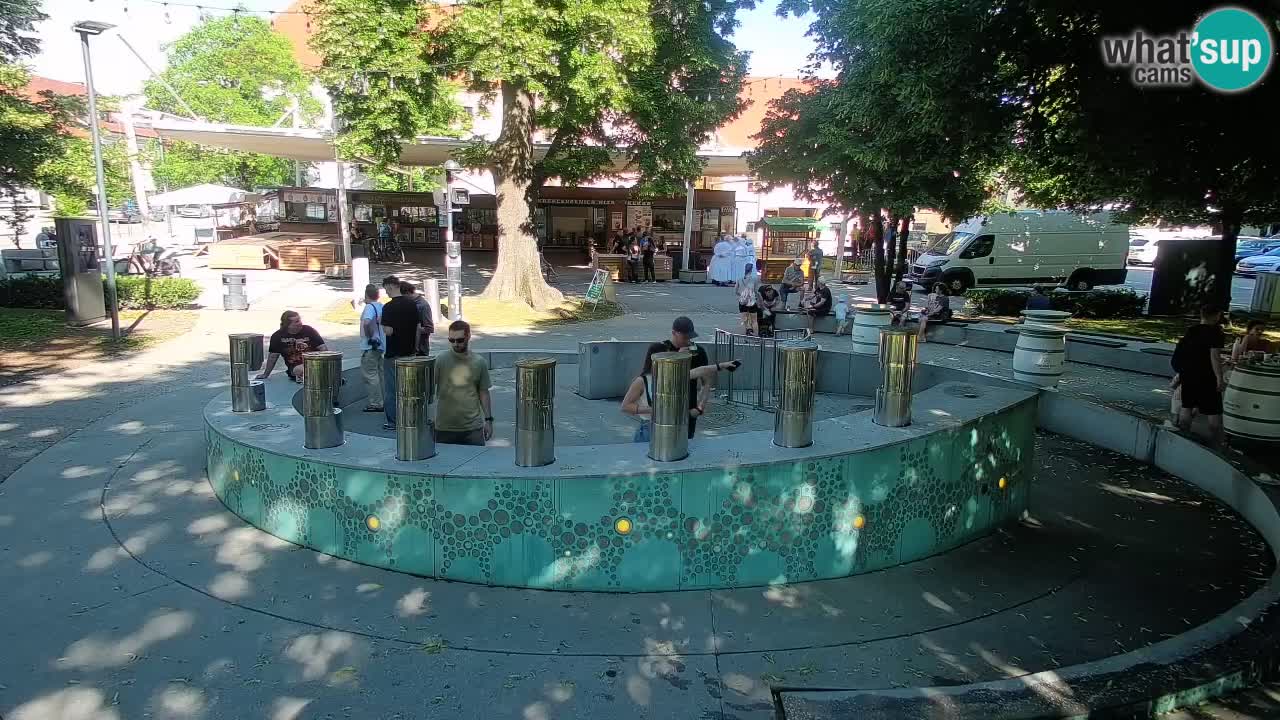 Spletna kamera Fontana Piv – Zeleno zlato Žalec