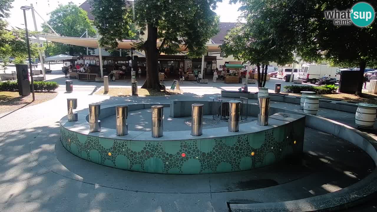 Fontaine à bière LIVE webcam – Or vert – Žalec