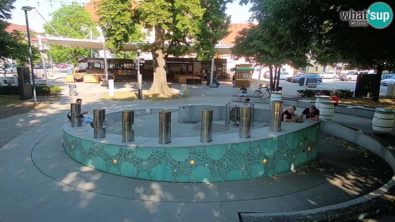 Fontaine à bière LIVE webcam – Or vert – Žalec