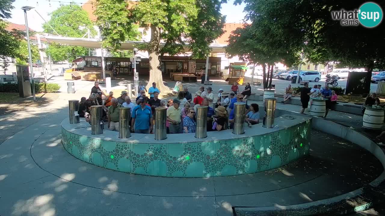 Spletna kamera Fontana Piv – Zeleno zlato Žalec