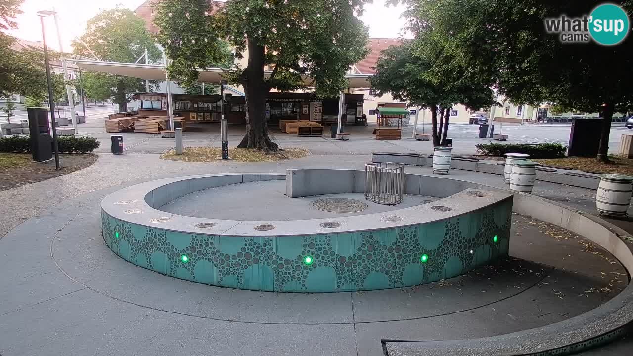 Bier-Springbrunnen Webcam Žalec – Grünen Goldes