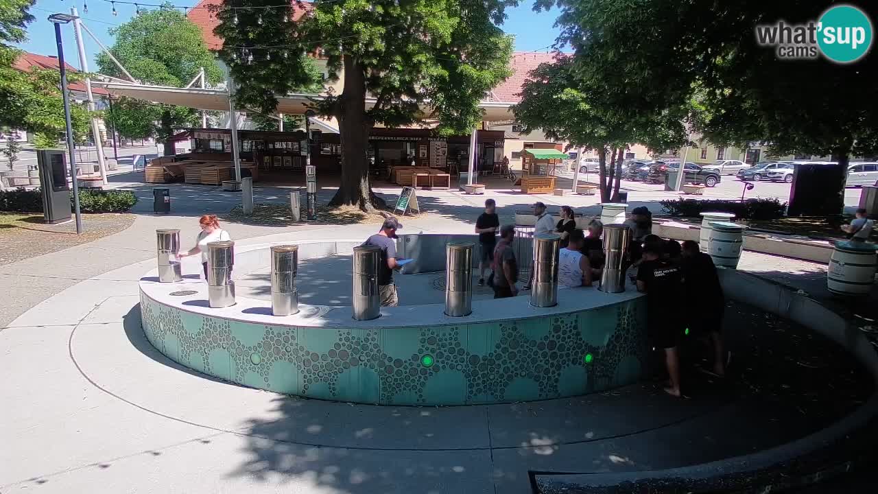Camera en vivo Fuente de cerveza – Oro verde – Žalec