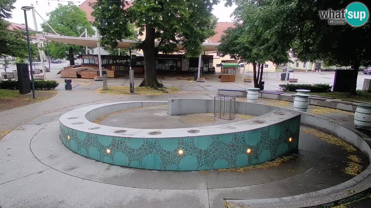 Bier-Springbrunnen Webcam Žalec – Grünen Goldes