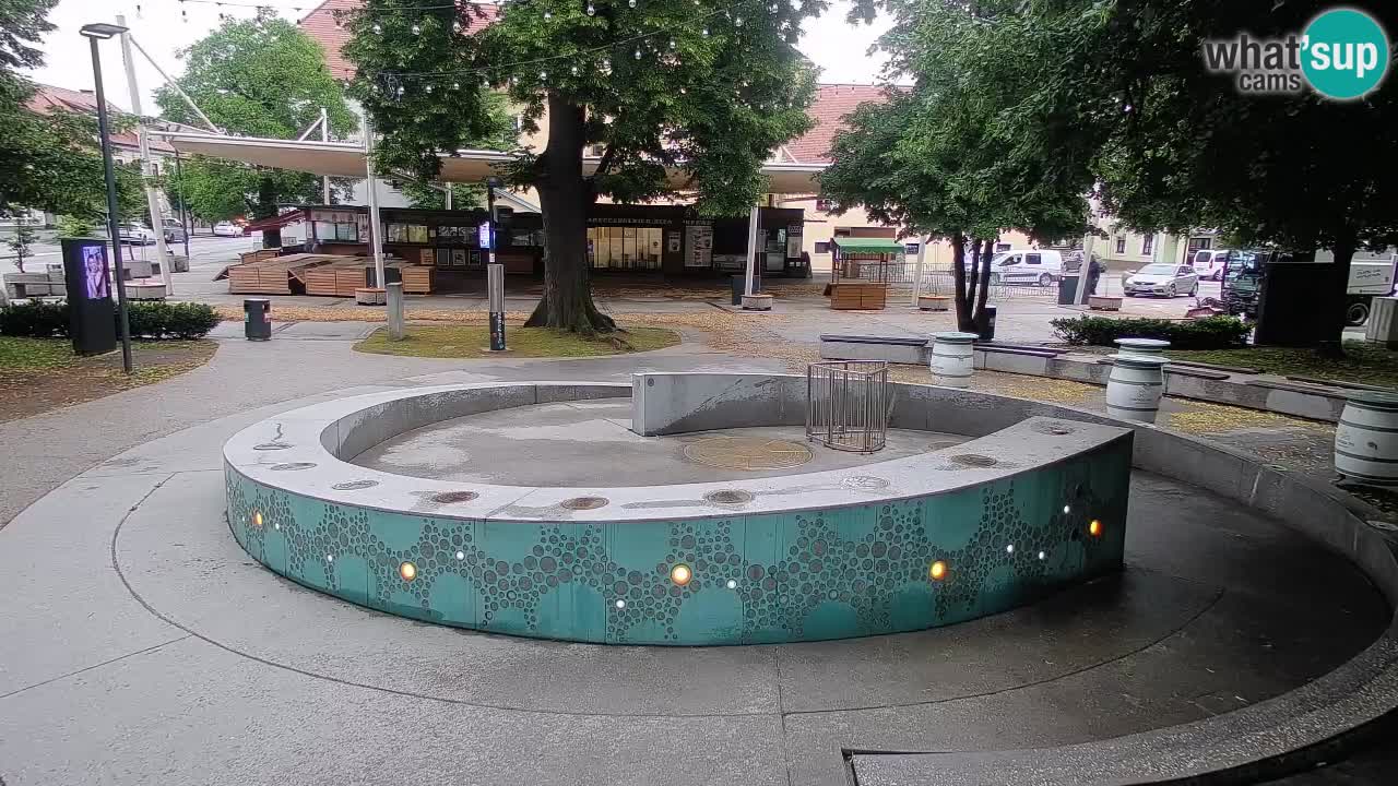 Bier-Springbrunnen Webcam Žalec – Grünen Goldes