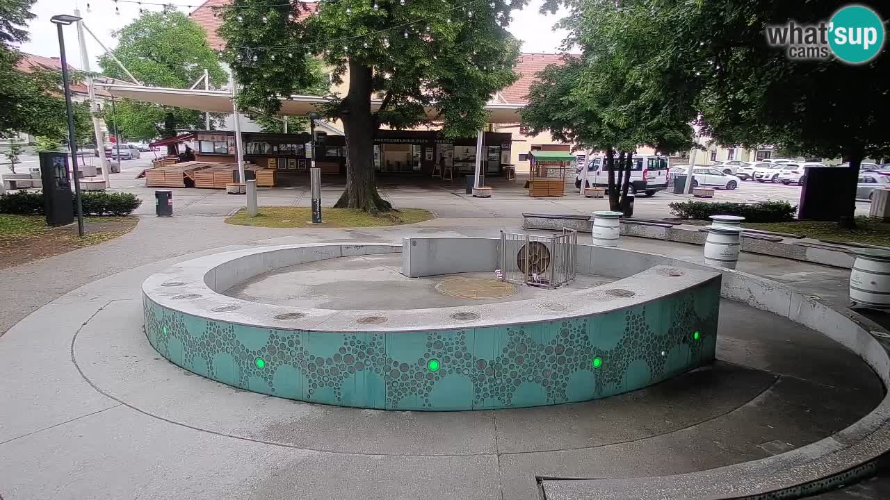 Bier-Springbrunnen Webcam Žalec – Grünen Goldes