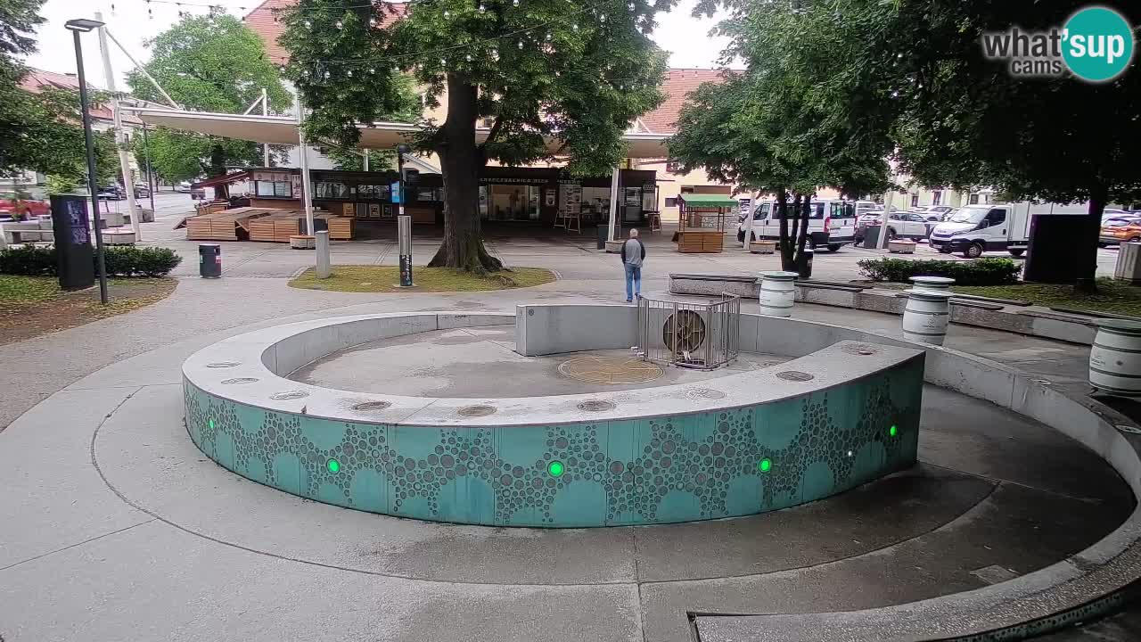Bier-Springbrunnen Webcam Žalec – Grünen Goldes