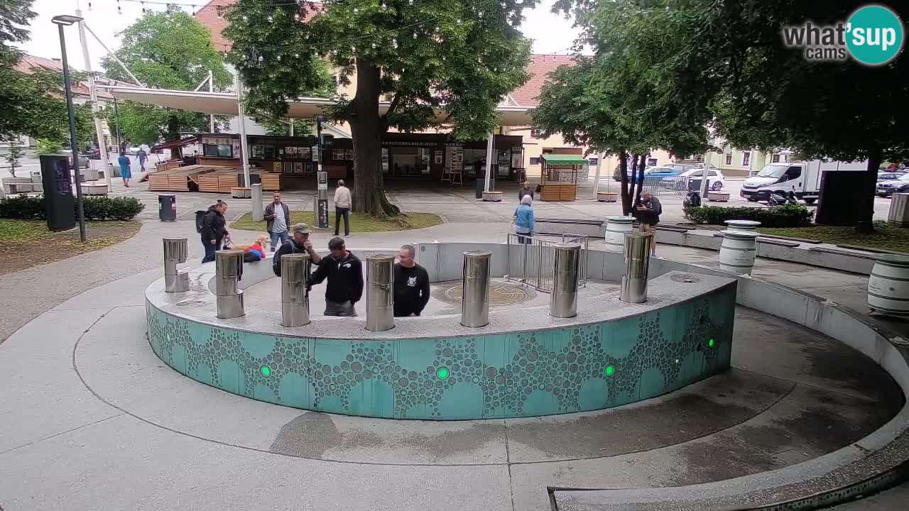 Bier-Springbrunnen Webcam Žalec – Grünen Goldes