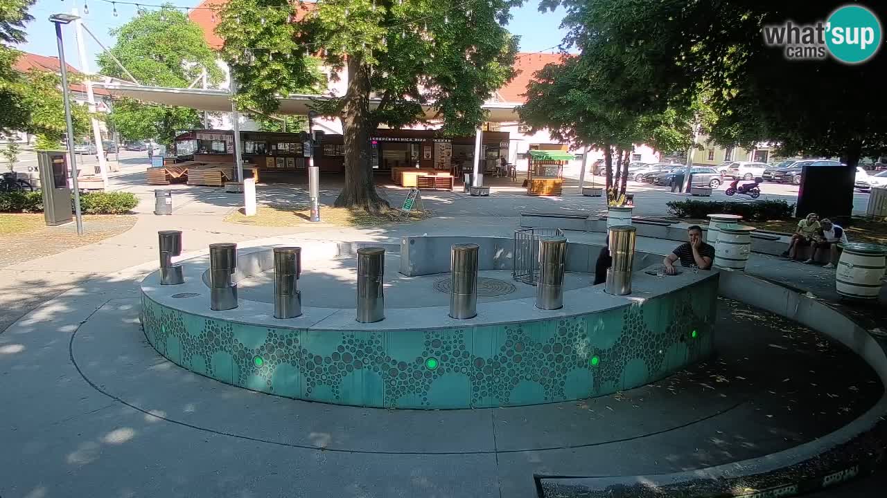 Web kamera Fontana piva – Zeleno zlato – Žalec