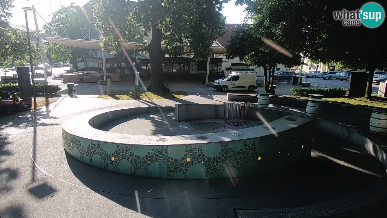 Web kamera Fontana piva – Zeleno zlato – Žalec