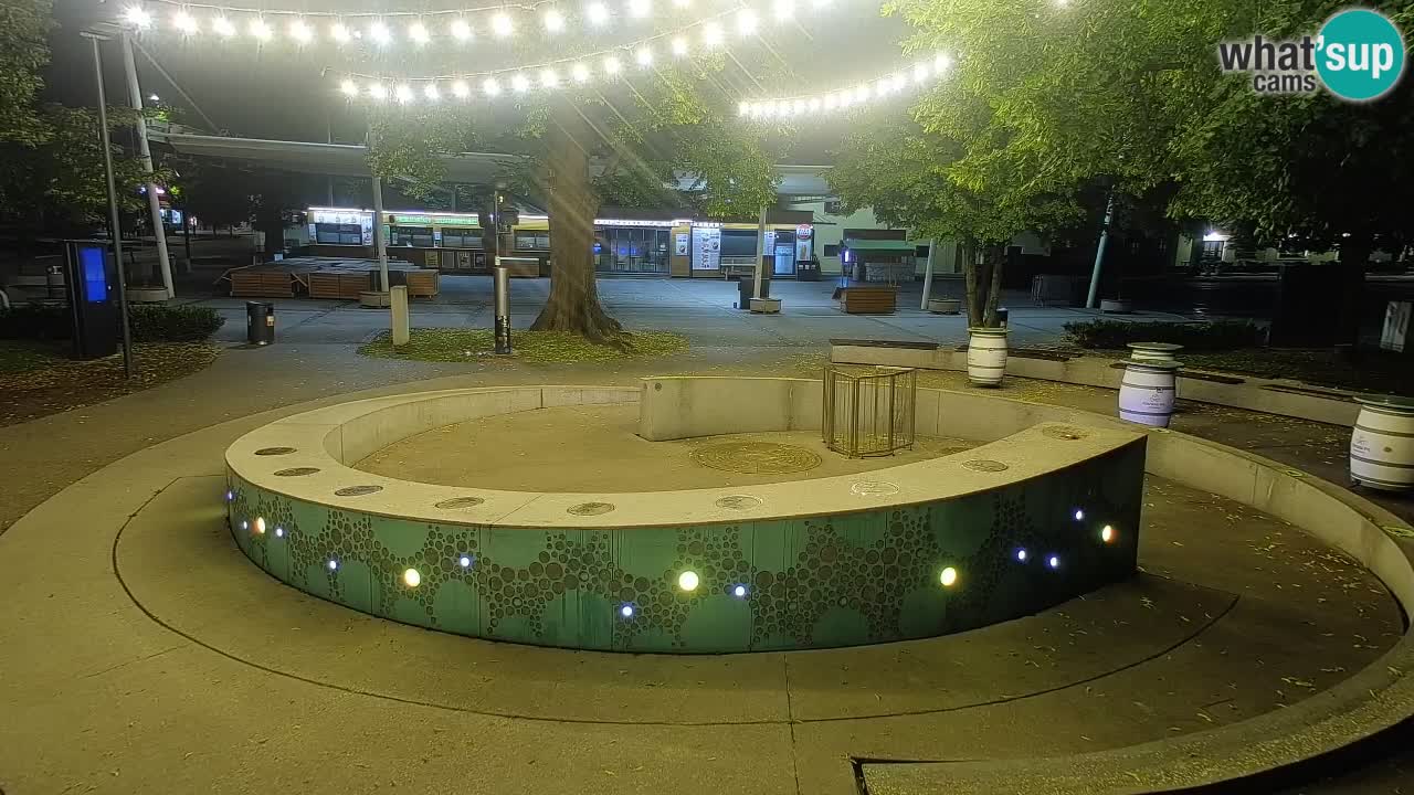 Camera en vivo Fuente de cerveza – Oro verde – Žalec