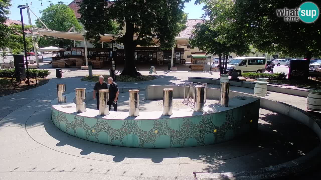 Web kamera Fontana piva – Zeleno zlato – Žalec