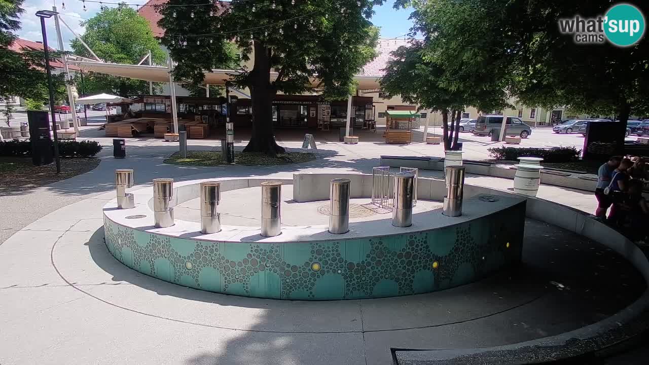 Web kamera Fontana piva – Zeleno zlato – Žalec