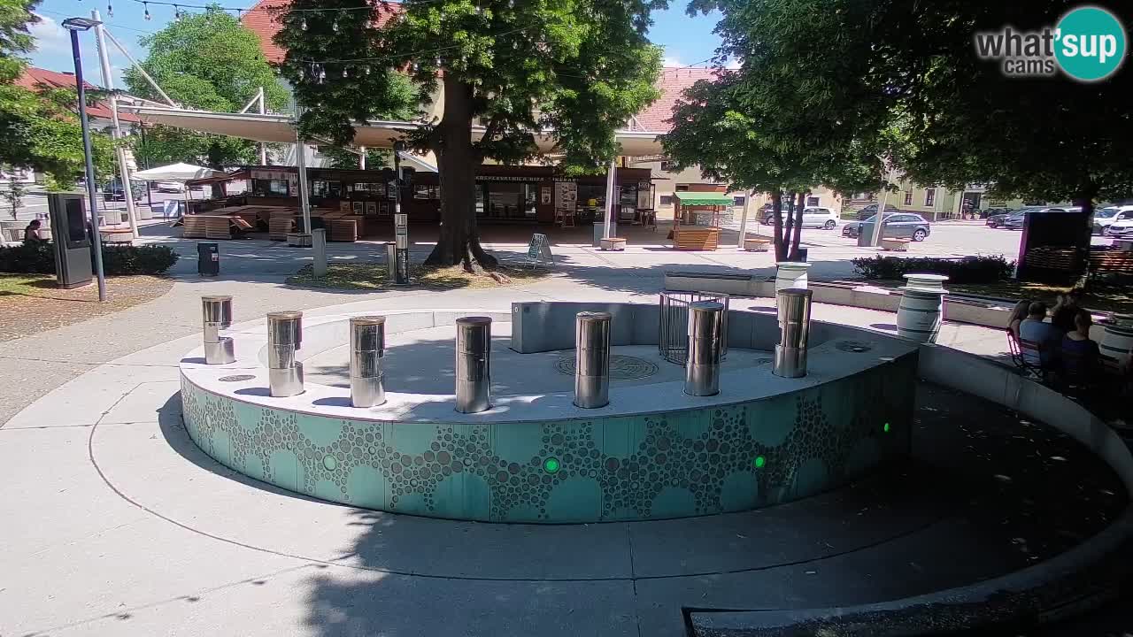 Web kamera Fontana piva – Zeleno zlato – Žalec