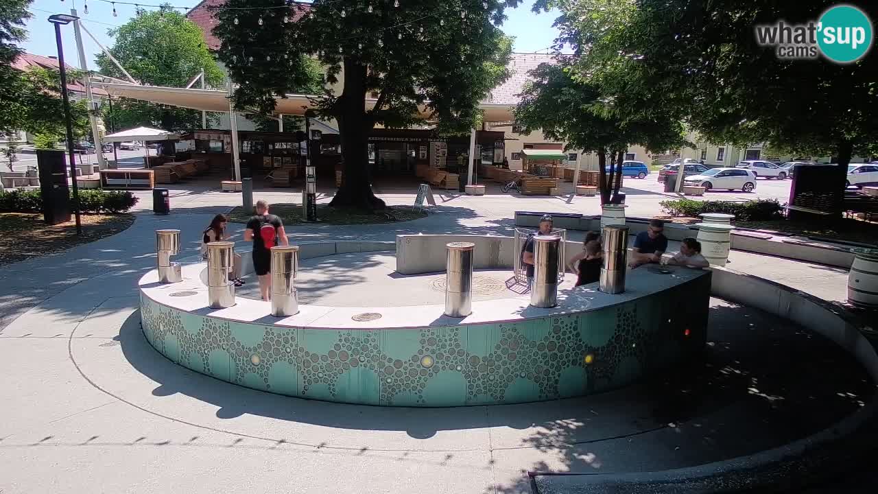 Bier-Springbrunnen Webcam Žalec – Grünen Goldes