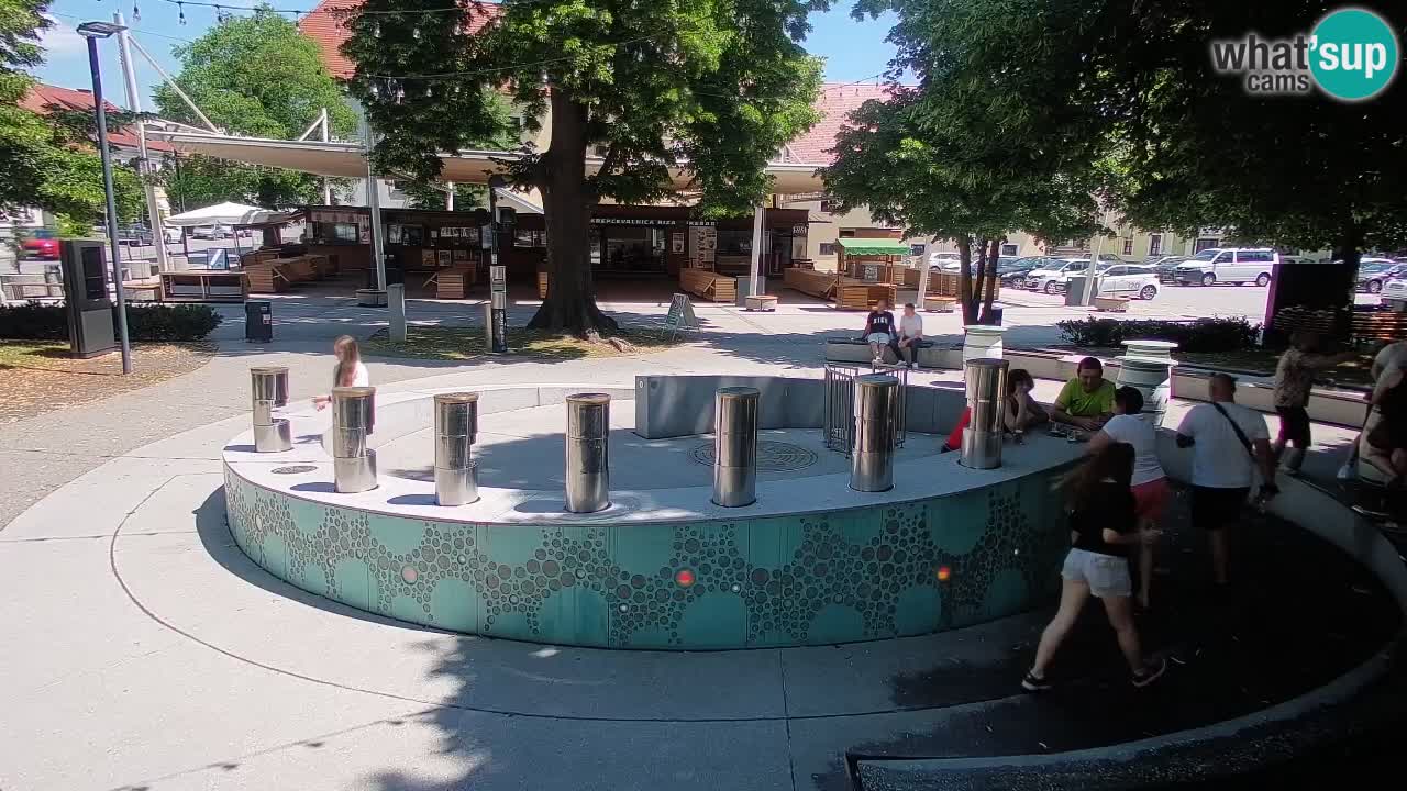 Fontaine à bière LIVE webcam – Or vert – Žalec