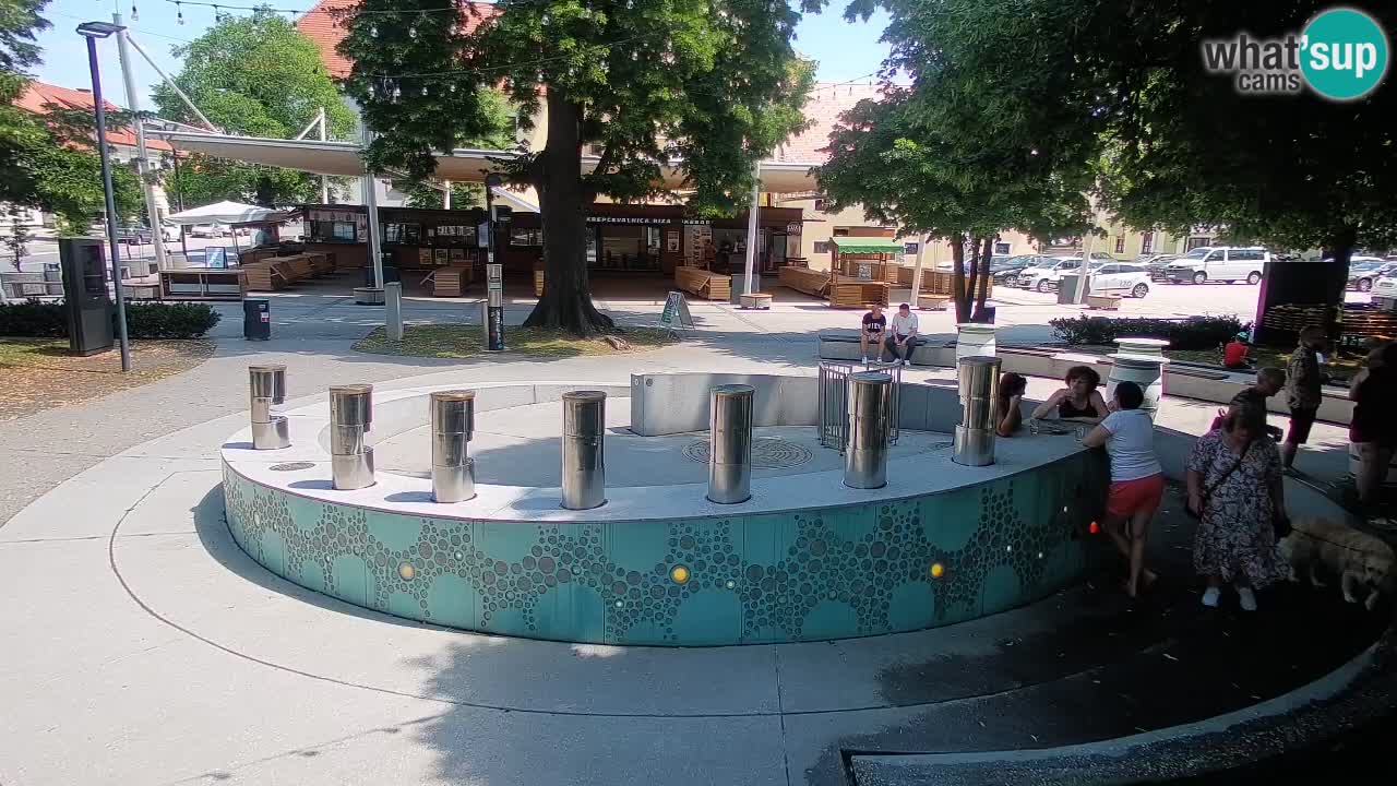 Web kamera Fontana piva – Zeleno zlato – Žalec