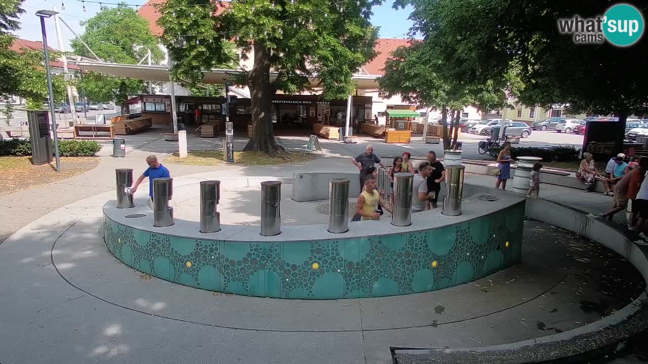 Web kamera Fontana piva – Zeleno zlato – Žalec