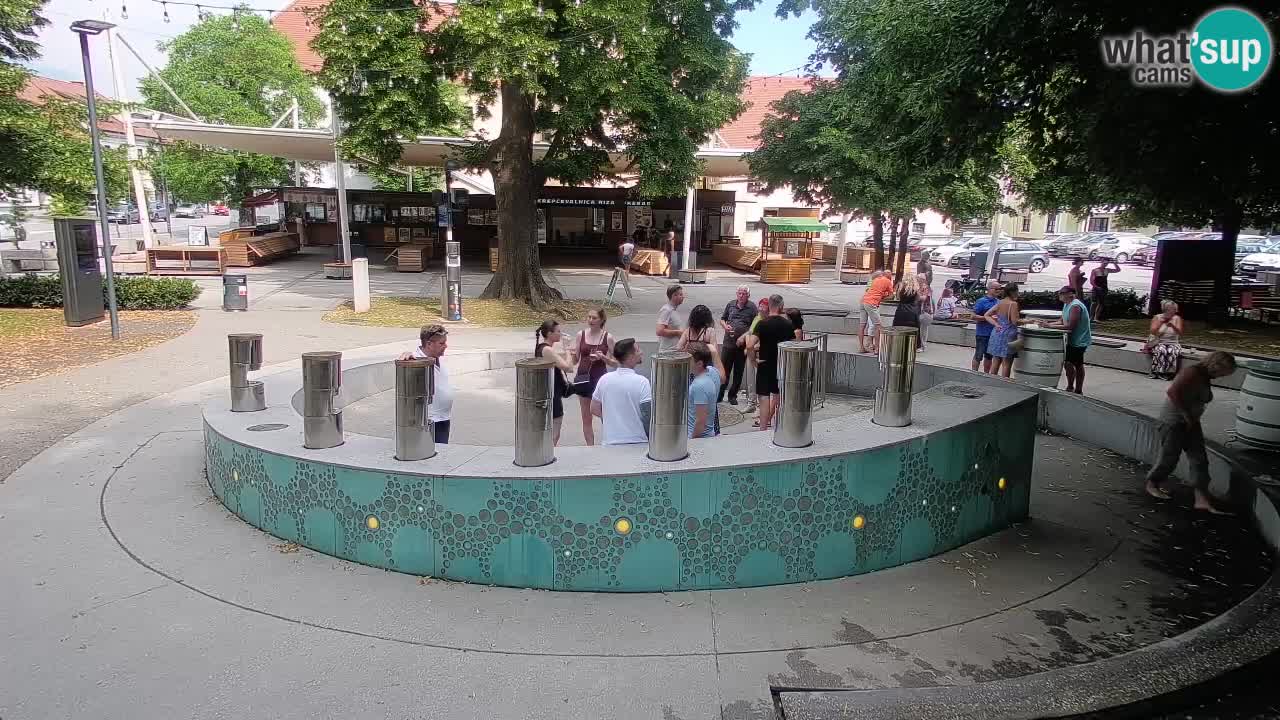 Spletna kamera Fontana Piv – Zeleno zlato Žalec