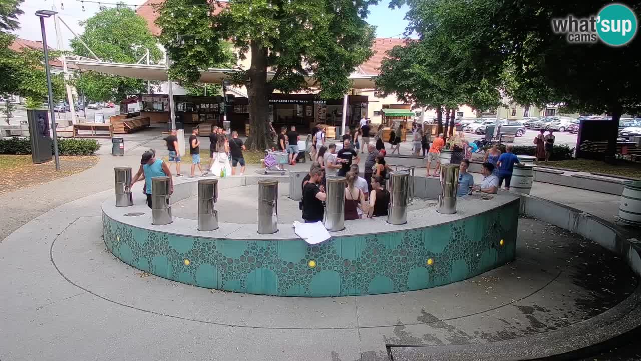Fontaine à bière LIVE webcam – Or vert – Žalec