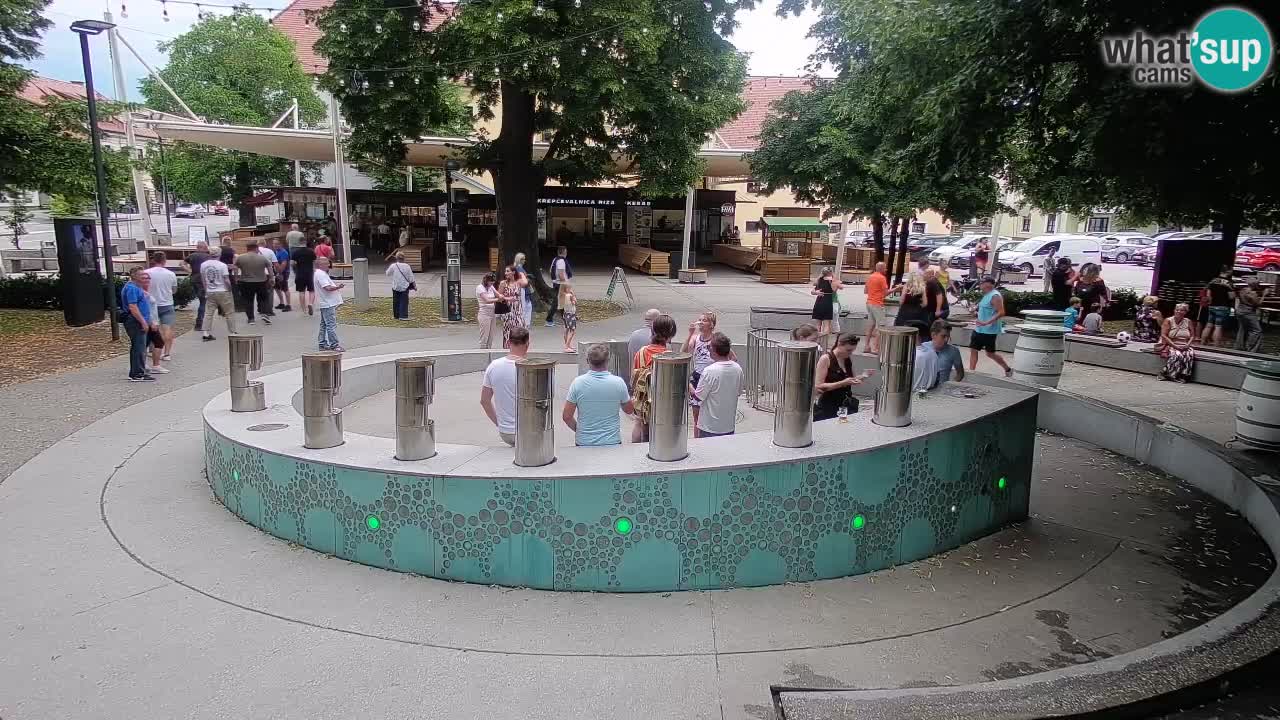Fontana di birra Webcam – Oro verde – Žalec