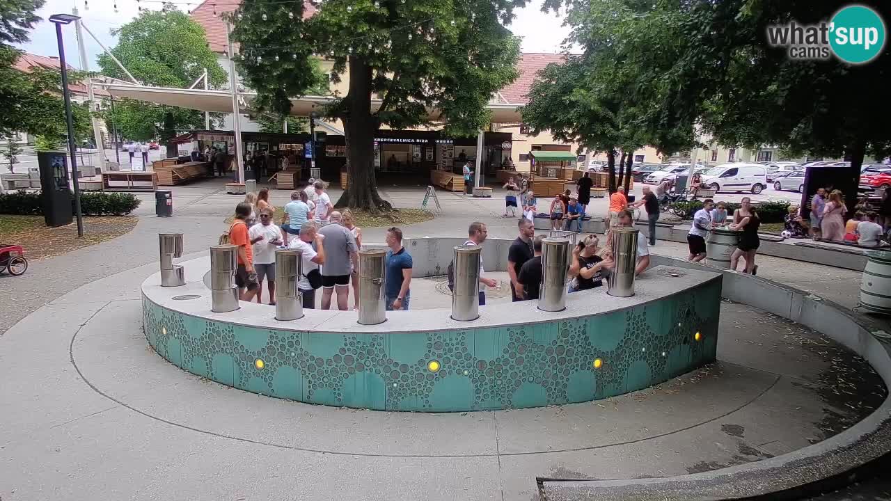 Fontaine à bière LIVE webcam – Or vert – Žalec