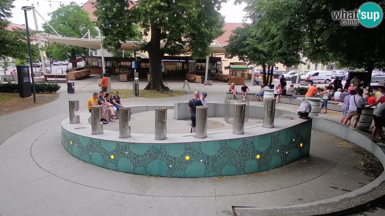 Spletna kamera Fontana Piv – Zeleno zlato Žalec