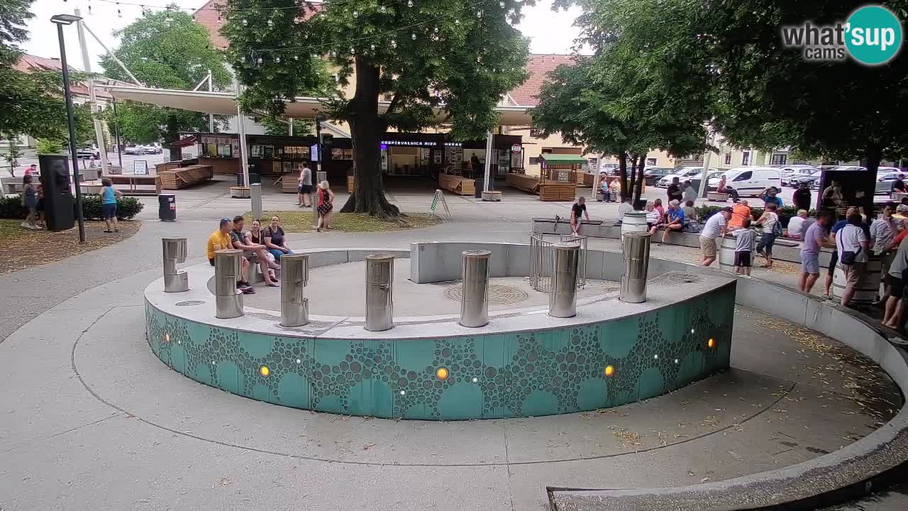 Fontaine à bière LIVE webcam – Or vert – Žalec