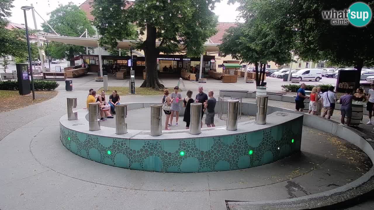 Spletna kamera Fontana Piv – Zeleno zlato Žalec
