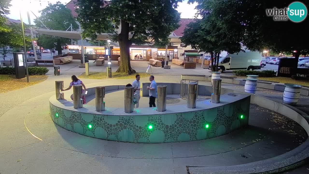 Fontaine à bière LIVE webcam – Or vert – Žalec