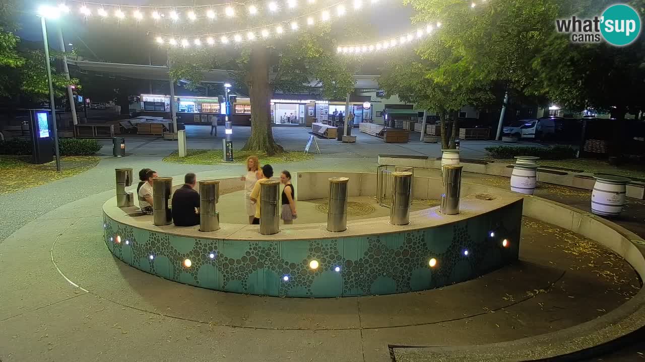 Fontana di birra Webcam – Oro verde – Žalec