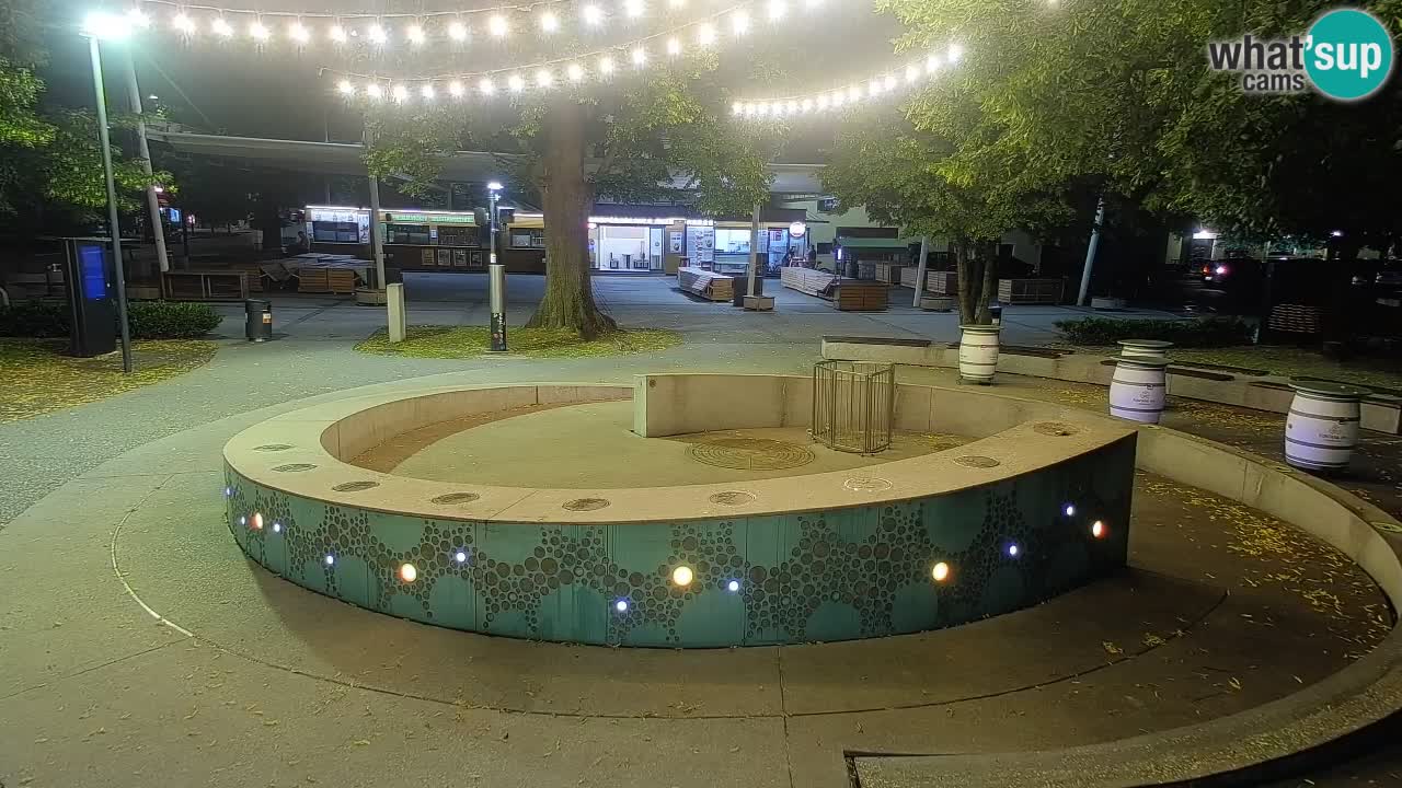 Fontana di birra Webcam – Oro verde – Žalec