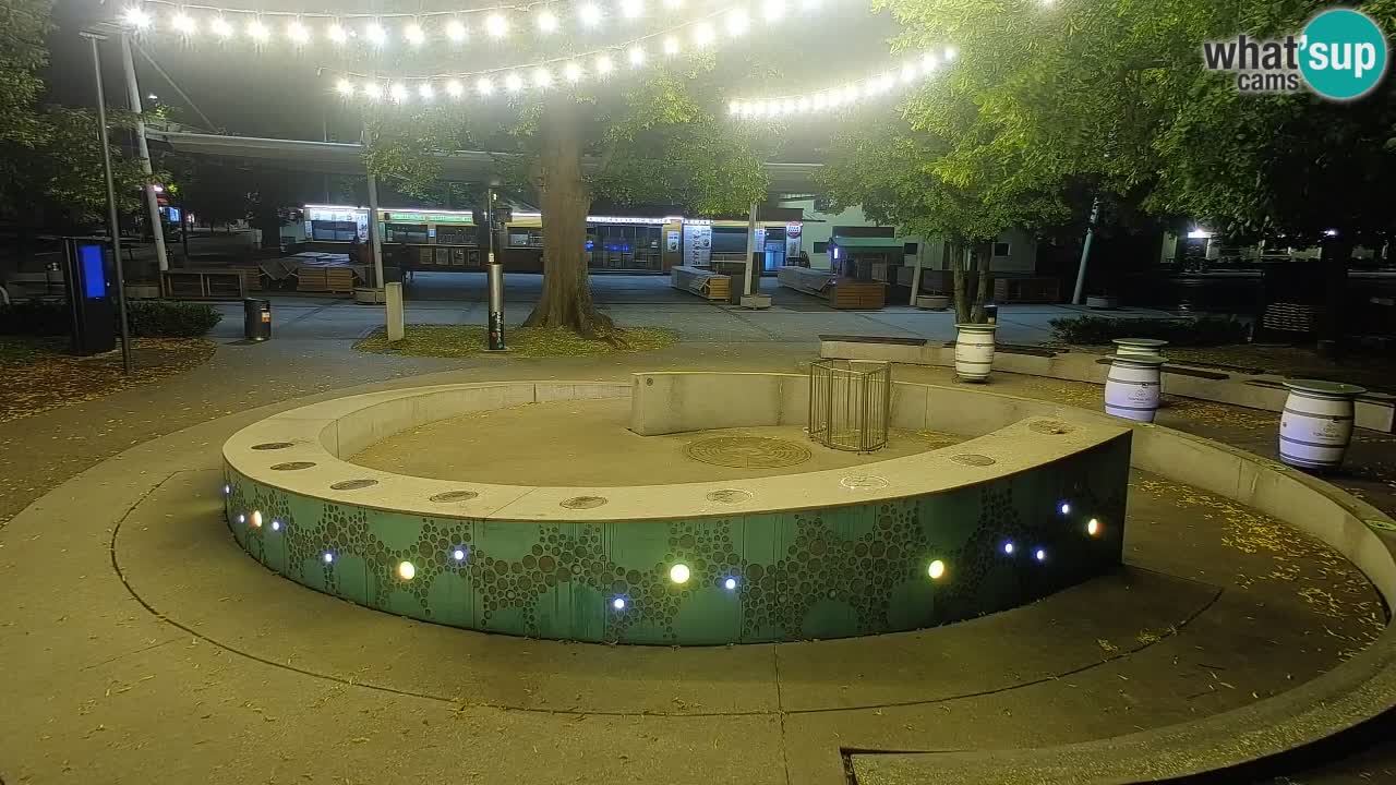 Fontana di birra Webcam – Oro verde – Žalec