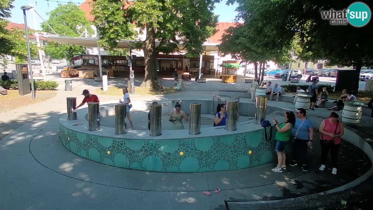 Web kamera Fontana piva – Zeleno zlato – Žalec