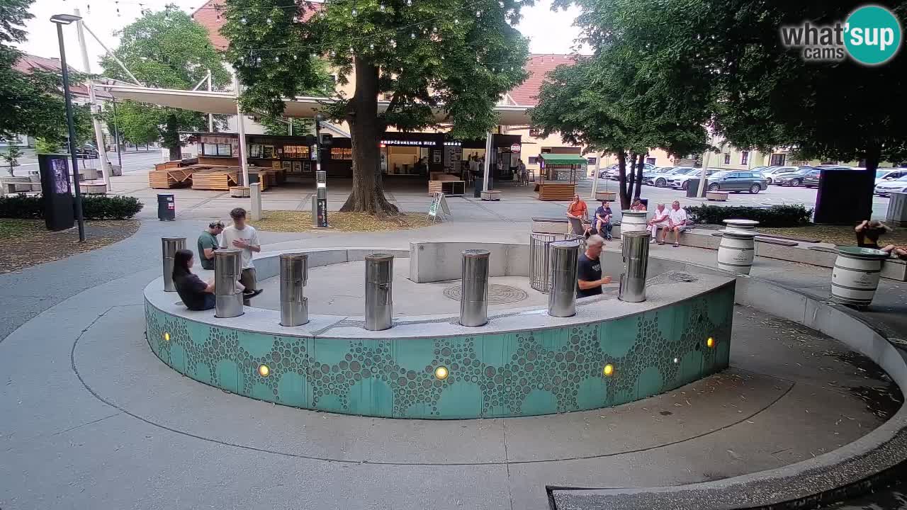 Web kamera Fontana piva – Zeleno zlato – Žalec