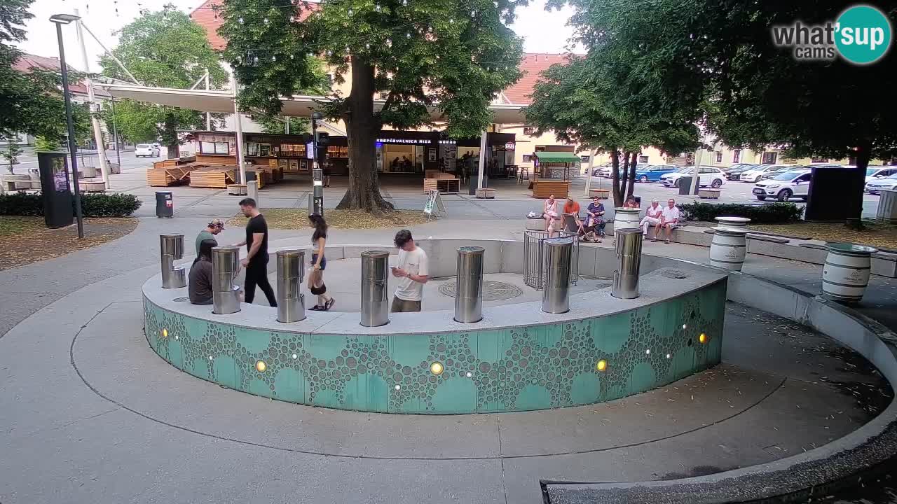 Bier-Springbrunnen Webcam Žalec – Grünen Goldes