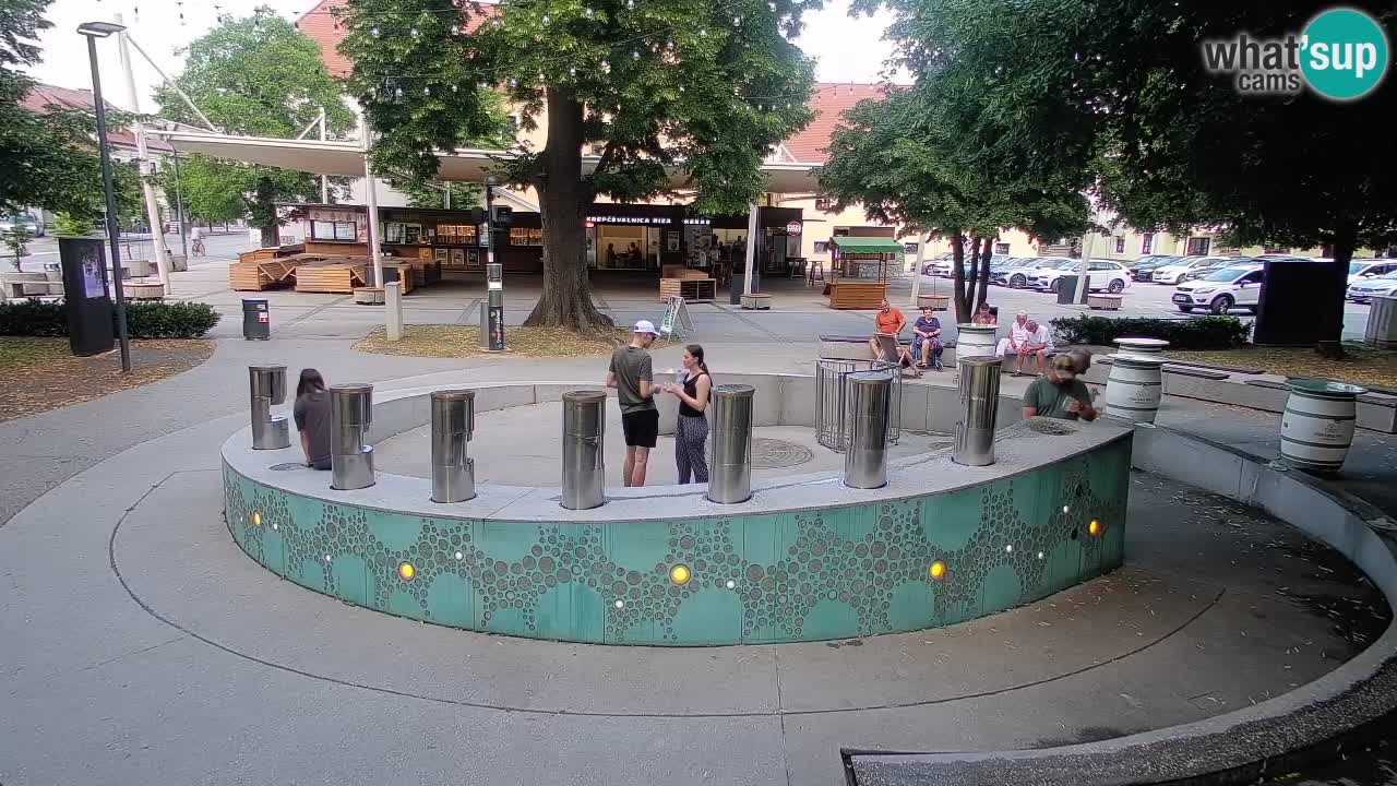 Bier-Springbrunnen Webcam Žalec – Grünen Goldes