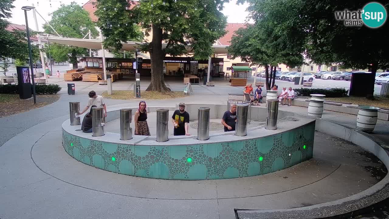 Fontana di birra Webcam – Oro verde – Žalec