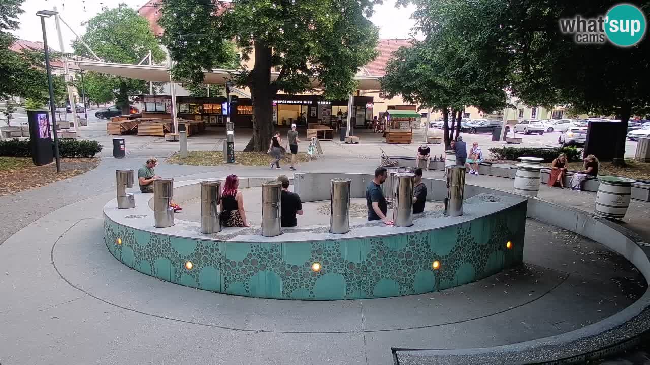 Spletna kamera Fontana Piv – Zeleno zlato Žalec
