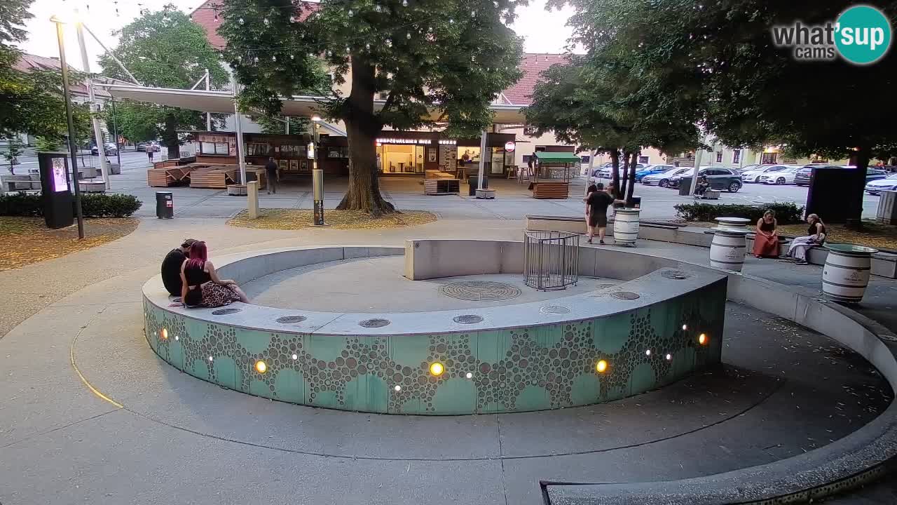 Bier-Springbrunnen Webcam Žalec – Grünen Goldes