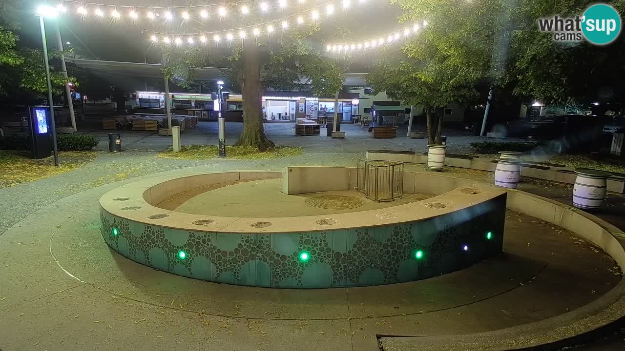 Bier-Springbrunnen Webcam Žalec – Grünen Goldes