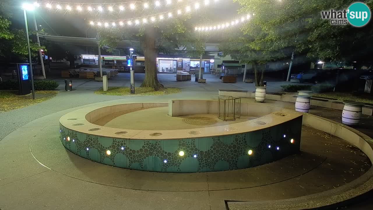 Camera en vivo Fuente de cerveza – Oro verde – Žalec