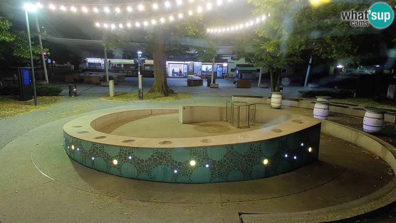Fontana di birra Webcam – Oro verde – Žalec