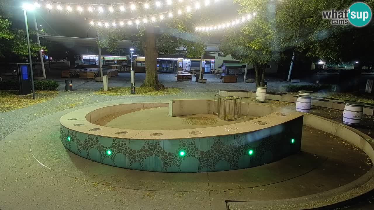 Fontana di birra Webcam – Oro verde – Žalec
