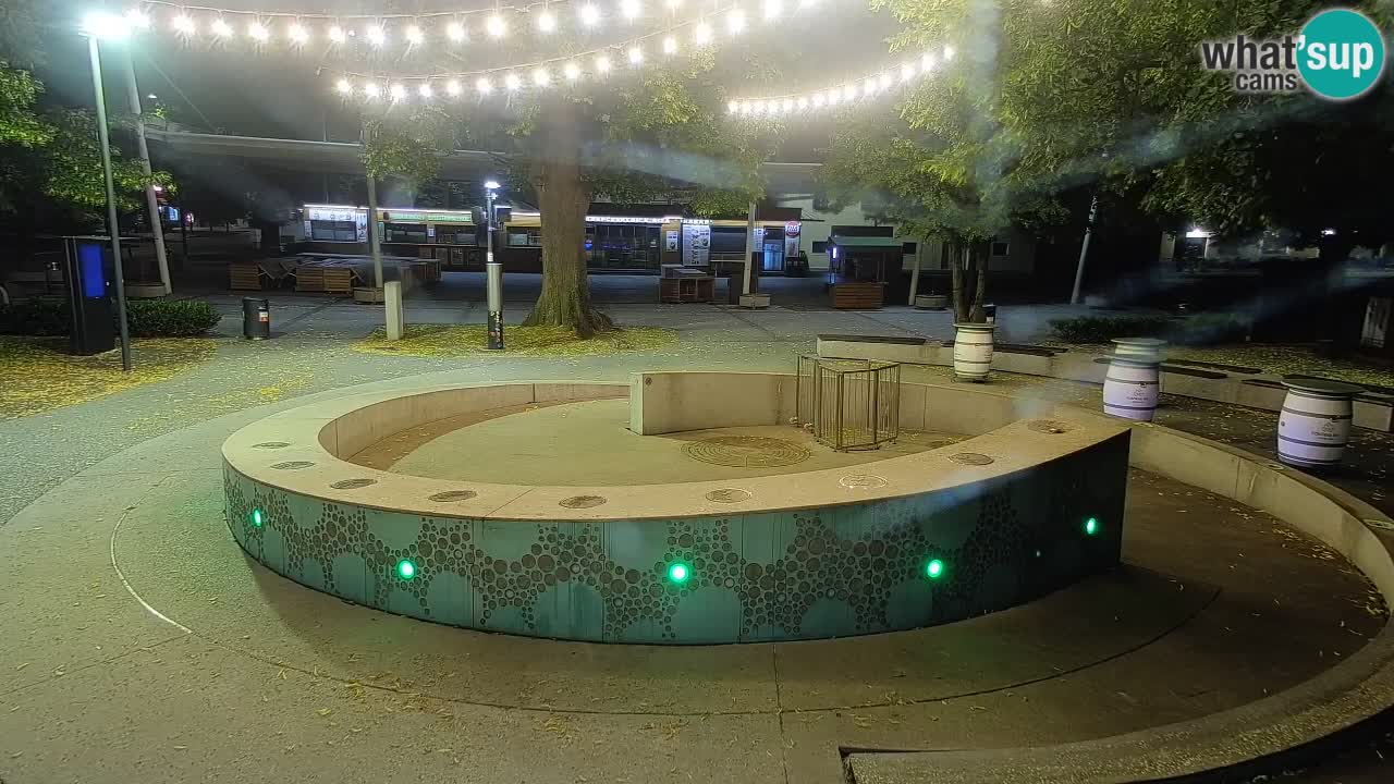 Spletna kamera Fontana Piv – Zeleno zlato Žalec