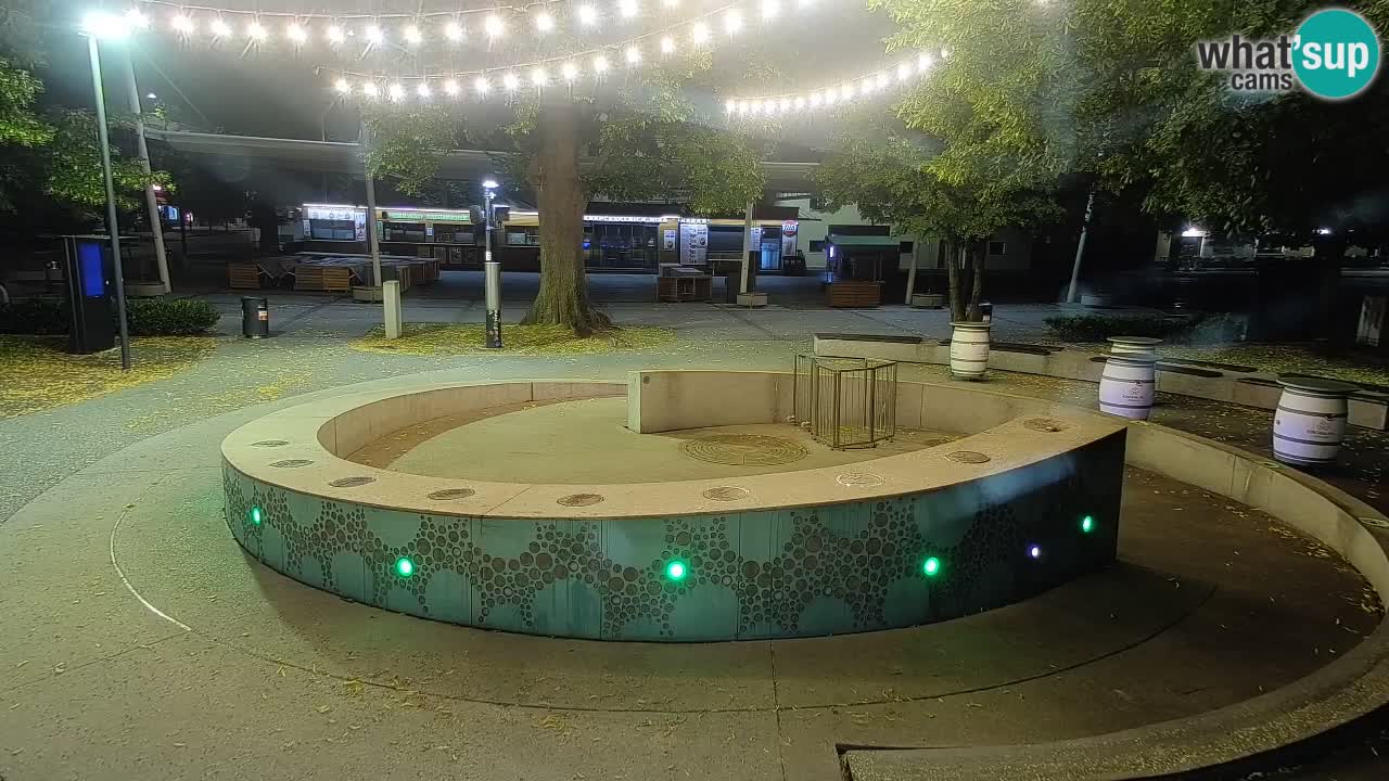 Spletna kamera Fontana Piv – Zeleno zlato Žalec