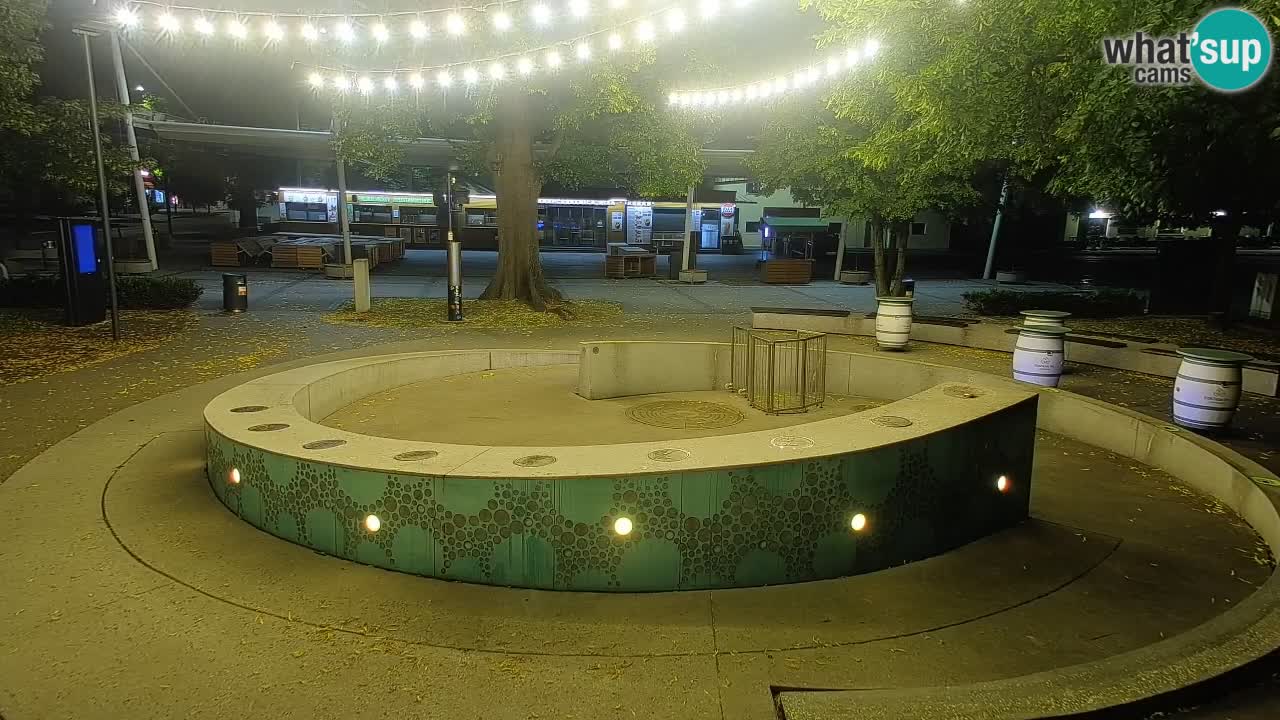 Camera en vivo Fuente de cerveza – Oro verde – Žalec