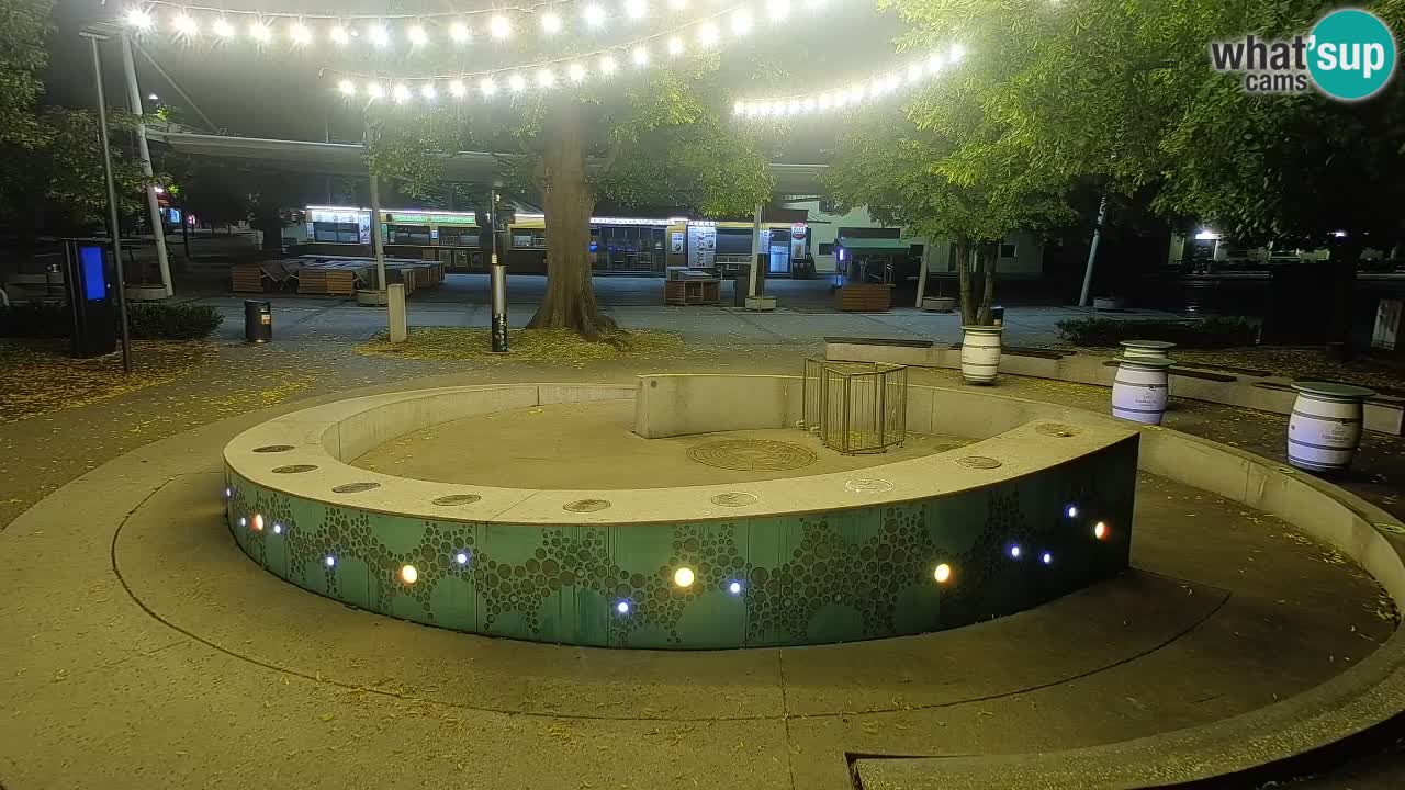 Camera en vivo Fuente de cerveza – Oro verde – Žalec