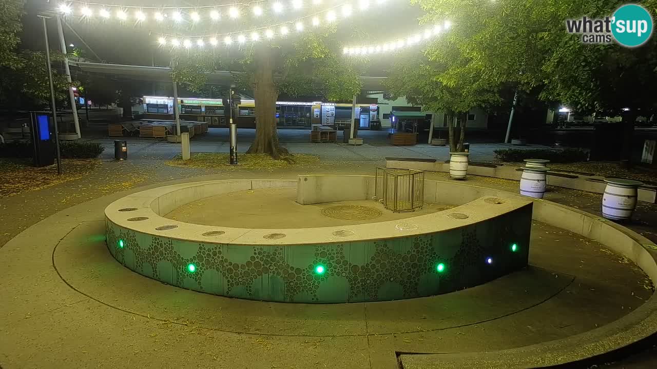 Spletna kamera Fontana Piv – Zeleno zlato Žalec
